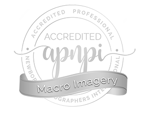 APNPI accreditation in newborn macro photography